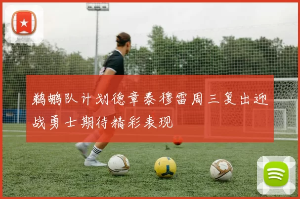 鹈鹕队计划德章泰穆雷周三复出迎战勇士期待精彩表现
