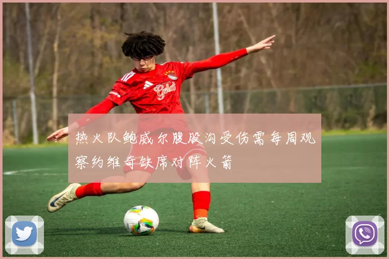 热火队鲍威尔腹股沟受伤需每周观察约维奇缺席对阵火箭
